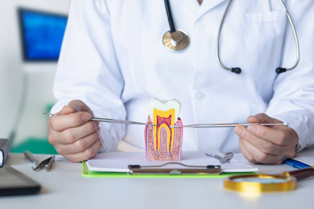Best Emergency Orthodontic Repairs in Drexel Heights, AZ